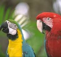 Laborum molestiae asd